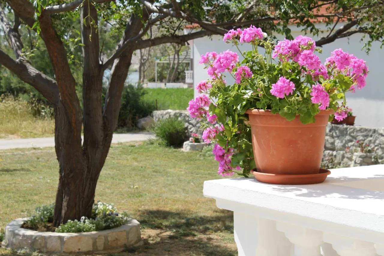 Apartments By The Sea Vlasici, Pag - 6523 Povljana